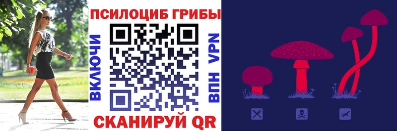 Галлюциногенные грибы мицелий  гидра как зайти  Власиха 